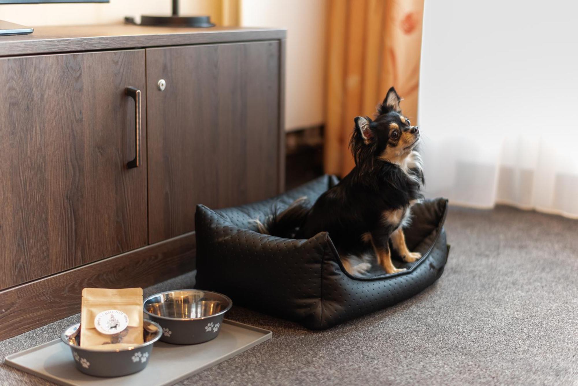 Familienapartment Mit Panoramablick Zur Frauenkirche 德累斯顿 外观 照片